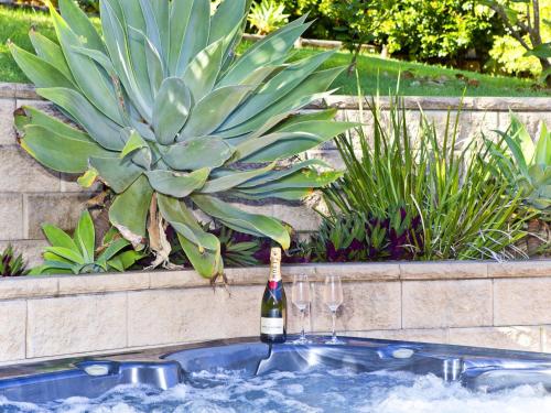 a bottle of champagne in a bathtub with a plant at Fingal Escape 28 Bent St in Fingal Bay