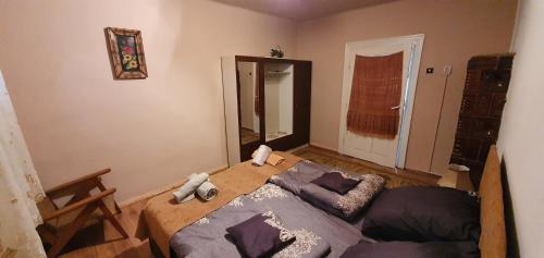 a bedroom with a bed and a couch at Balla House in Tărcaia