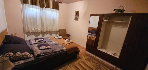 a bedroom with a bed and a large mirror at Balla House in Tărcaia