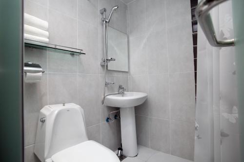 a bathroom with a toilet and a sink and a shower at KSTAR METRO Hotel in Seoul