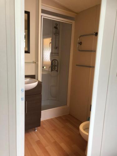 Koupelna v ubytování Mobilhome 2 Chambres 2 SDB