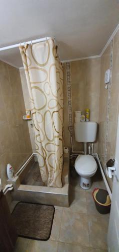 a bathroom with a toilet and a shower curtain at Balla House in Tărcaia