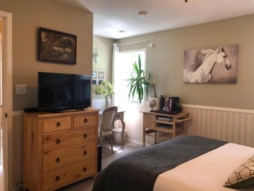 a bedroom with a bed and a television on a dresser at Country Cottage B&B in Vernon