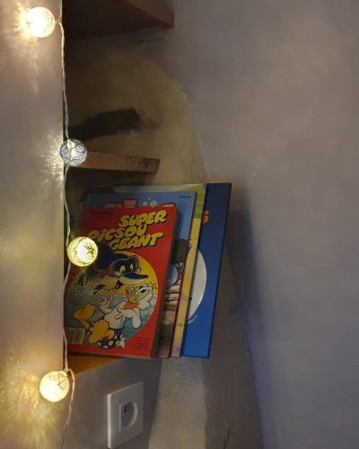 a couple of books sitting on a wall with lights at Le Fiege gîte cosy et confort in Torchamp