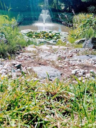 a garden with a pond with a fountain at Bezdroża Mazurskie in Mrągowo