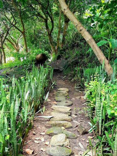 a path in a garden with rocks and trees at Butterfly Space- A Non-Profit Eco-Lodge in Nkhata Bay