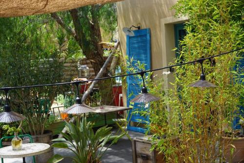 Le Toit Vert – Photos 4