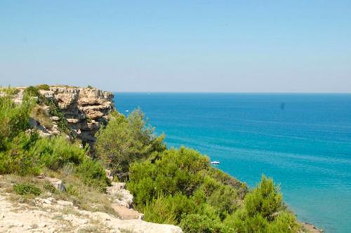 Le Toit Vert – Photos 5
