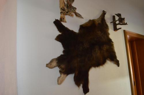 a stuffed bear hanging on a wall with crosses at Tirolerhof in Lermoos