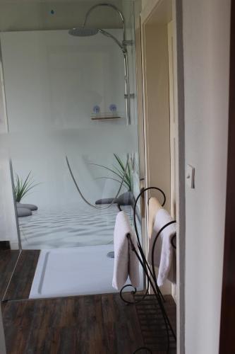 a bathroom with a shower and a towel rack at Zum Ginkgobaum in Stadtilm