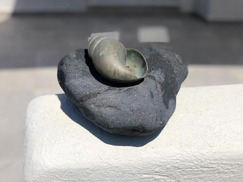 a rock with a snail on top of it at Thera Incognita Studios in Perissa