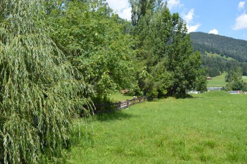 a field of grass with trees and a fence at Tirolerhof in Lermoos