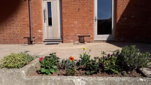 un jardin de fleurs devant un bâtiment dans l'établissement Courtbrook Farm Apartments, à Exeter