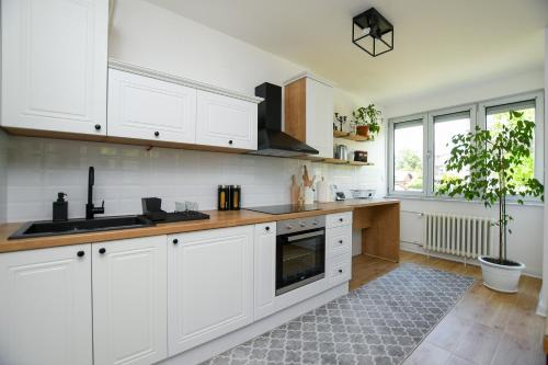 eine Küche mit weißen Schränken und einer Topfpflanze in der Unterkunft Apartment Pavlovic in Kladovo
