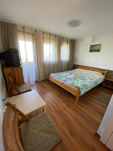 ein Schlafzimmer mit Bett, Tisch und Fernseher in der Unterkunft Villa Pontica in Sofia
