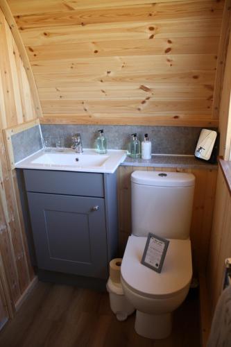 a bathroom with a toilet and a sink in a cabin at Braeview Escapes in Eyemouth