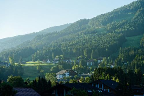 a village in the mountains with houses and trees at Hotel Guesthouse Dalnig in Bad Kleinkirchheim