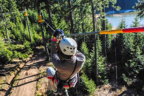a person on a zip line in the forest at Le Scailleteux - Gîte de charme clôturé, accès à la rivière in Fauvillers