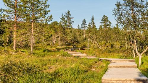 Loodusmaastik palkmajakese lähedal