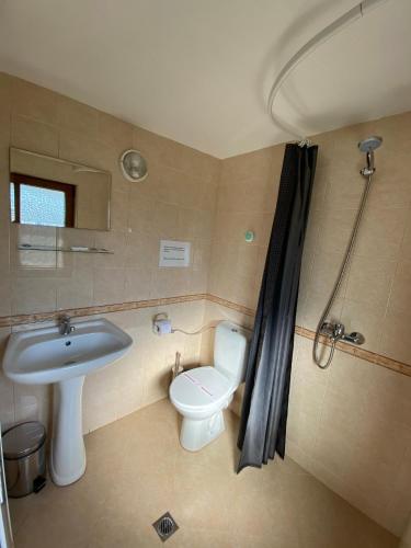 ein Badezimmer mit Waschbecken, Toilette und Dusche in der Unterkunft Villa Pontica in Sofia