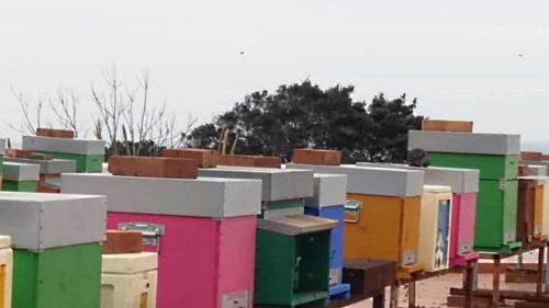 El edificio en el que está la estancia rural