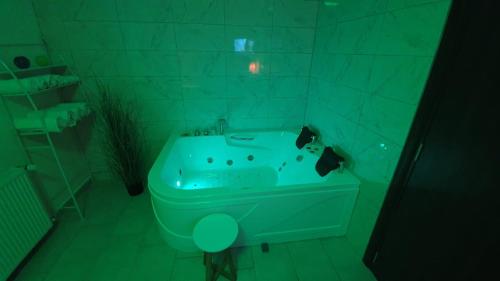 baño verde con bañera y lavamanos en Deltix Apartments, en Vršac