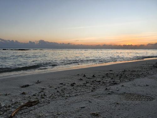 a group of birds on the beach at sunset at Veli Beach Inn in Mathiveri