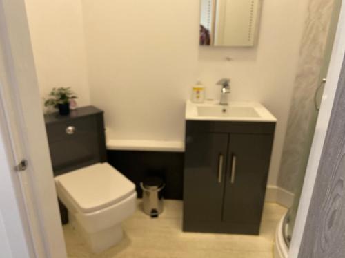 a bathroom with a white toilet and a sink at 2A SPV Double En-suite Room in Wakefield