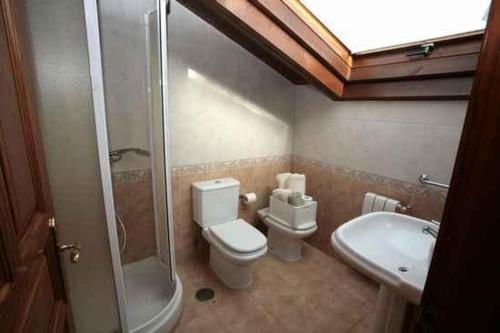 een badkamer met een toilet, een douche en een wastafel bij Hotel Piloñés in Infiesto