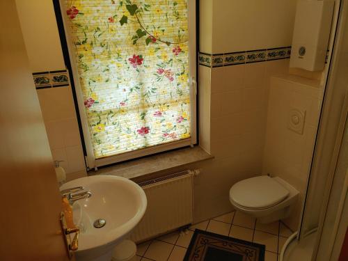 a small bathroom with a sink and a toilet at 4 Sterne-Haus am See in Waren