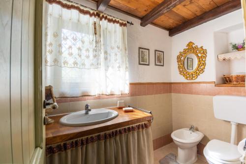 a bathroom with a sink and a toilet at Villa Ferulas in Oliena