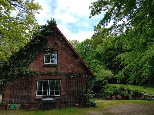 a brick house with a window and ivy on it at 4 Sterne-Haus am See in Waren