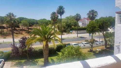 a view of a street with palm trees and a road at Playa entre pinares in El Portil