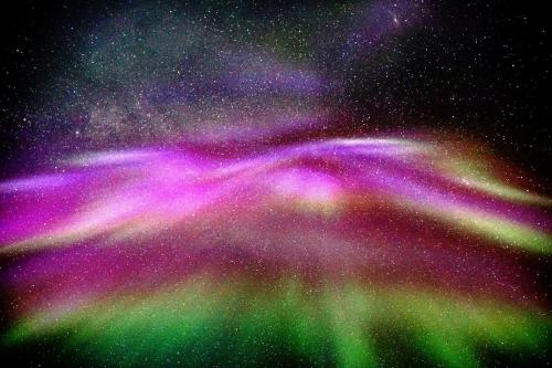 a blurry photo of a purple flower in a clear blue sky at MelisHome: Aurora Observatory in Tromsø