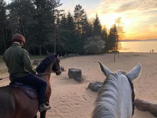a man riding a horse on the beach at SOPRANO - 'Virš Ąžuolų' - Forest SPA - FREE jacuzzi in Paplatelė