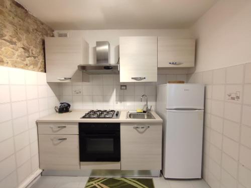 a kitchen with a white refrigerator and a sink at Rossese in Riomaggiore