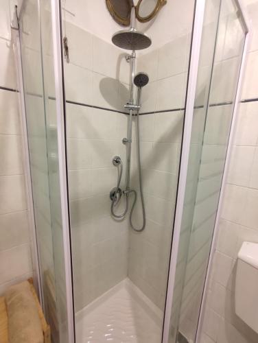 La salle de bains est pourvue d'une douche avec une porte en verre. dans l'établissement Rossese, à Riomaggiore