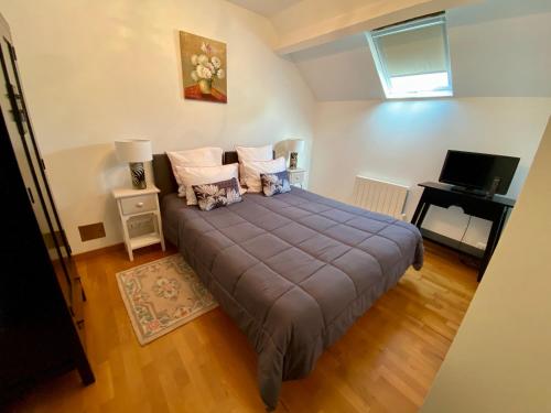 a bedroom with a large bed and a television at Gite Des Vignes in Verdigny