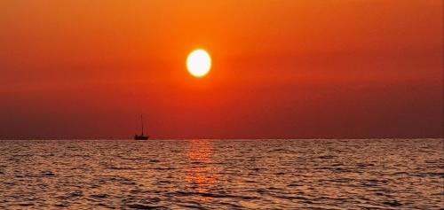 Φυσικό τοπίο κοντά σε αυτό το διαμέρισμα