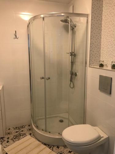 a bathroom with a shower with a toilet at Apart - apartament 12 in Okuninka