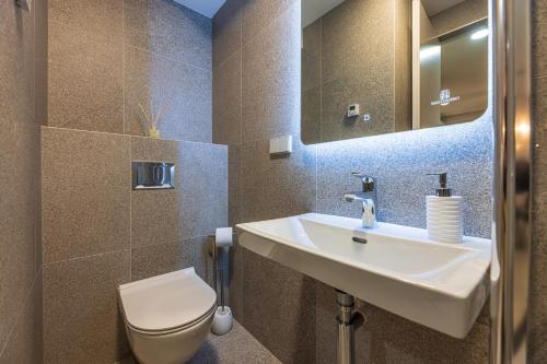a bathroom with a sink and a toilet at Cuprum Poilsis in Palanga