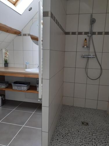 un baño con ducha y lavabo en LA BONNE ADRESSE, en La Neuville en Chaillois