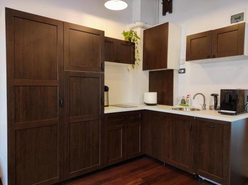 Kuchyň nebo kuchyňský kout v ubytování Casa Dávid Ferenc Ház