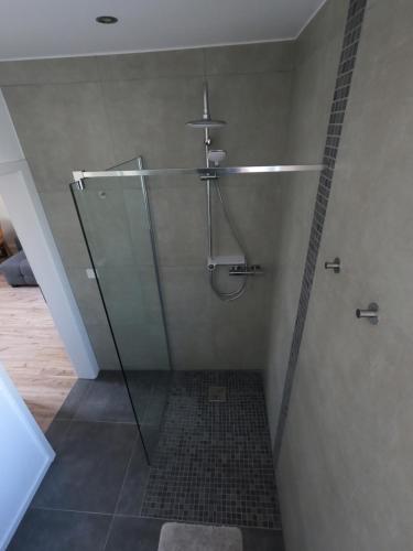 a shower with a glass door in a bathroom at Ferienwohnung Südkurve in Briedel