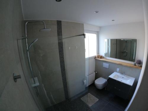 a bathroom with a shower and a toilet and a sink at Ferienwohnung Südkurve in Briedel