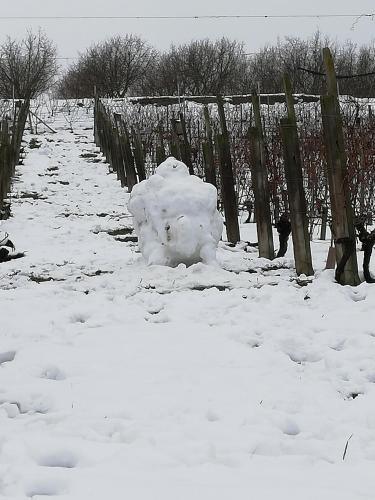 a snowman sitting next to a fence in the snow at La Giribaldina Winery & Farmhouse in Calamandrana