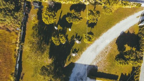 an overhead view of a field with trees and a road at Dimora Santo Stefano in Pompei