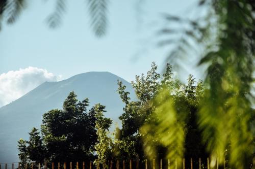 a mountain in the distance with trees in the foreground at Dimora Santo Stefano in Pompei
