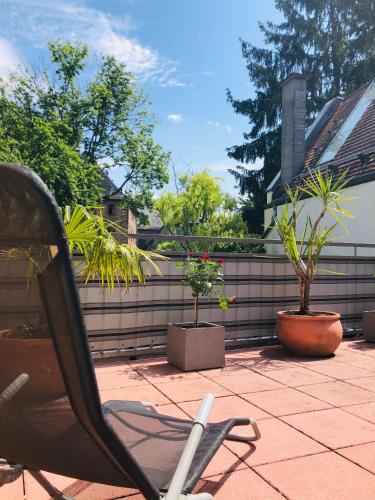 Сад в Altstadt Hotel Glockenhof