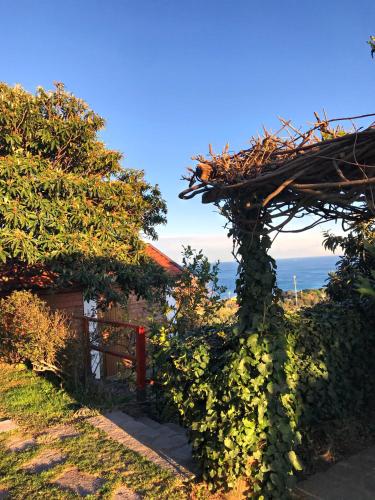 a ivy covered building with the ocean in the background at Agriturismo Natta Di Monte Tabor in Celle Ligure
